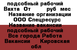 подсобный рабочий . Вахта. От 30 000 руб./мес. › Название организации ­ ООО Спецресурс › Название вакансии ­ подсобный рабочий - Все города Работа » Вакансии   . Кировская обл.